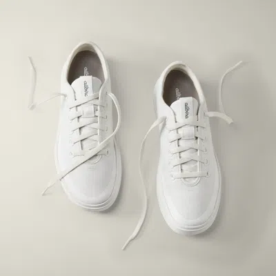 Allbirds Women's Canvas Pipers In Blizzard