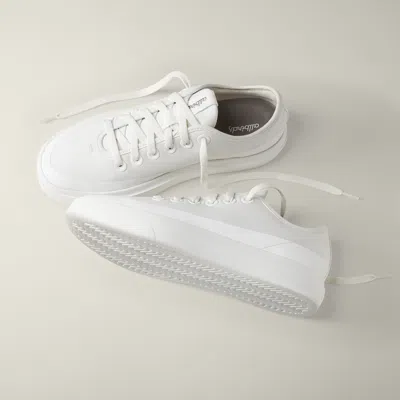 Allbirds Women's Canvas Pipers In Blizzard