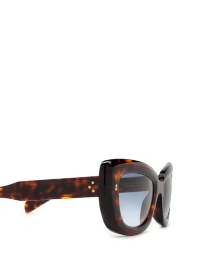 Shop Cutler And Gross Cutler & Gross Sunglasses In Dark Turtle