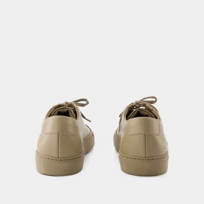 Shop Common Projects Sneakers In Brown
