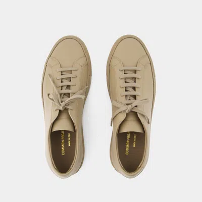 Shop Common Projects Sneakers In Brown