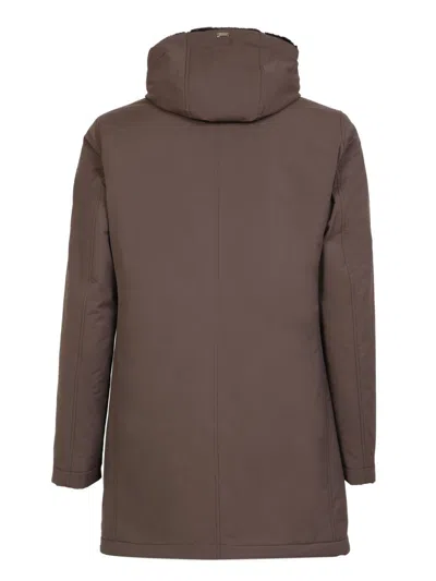 Shop Herno Three-quarter Coats In Brown