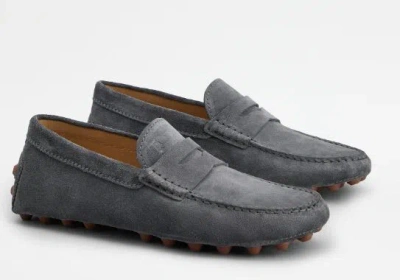 Shop Tod's Gommini Suede Driving Shoes