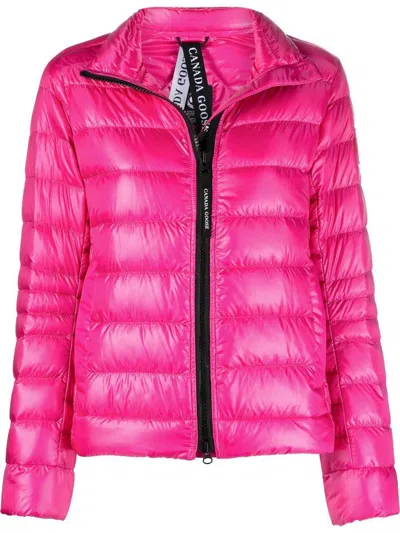 Shop Canada Goose Jackets In Summit Pink
