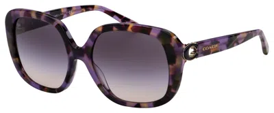 Shop Coach Women's 56 Mm Lavender Tortoise Sunglasses In Multi