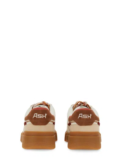 Shop Ash Sneaker With Logo In Multicolour