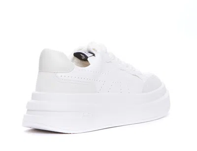 Shop Ash White And Talc Leather Sneakers In White/talc