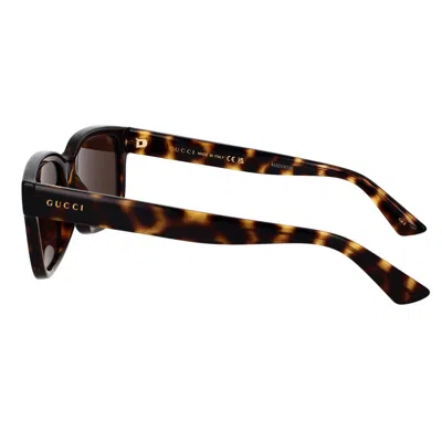 Gucci Eyewear Sunglasses In Havana