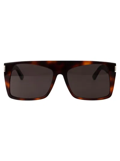 Shop Saint Laurent Eyewear Sunglasses In 003 Havana Havana Black