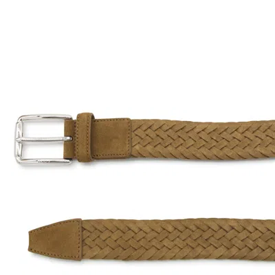 Shop Tod's Belts In Bronzo Dorato Scuro