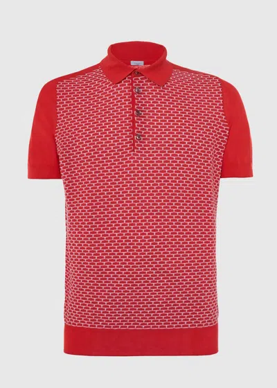 Shop Malo Cotton Knitted Polo