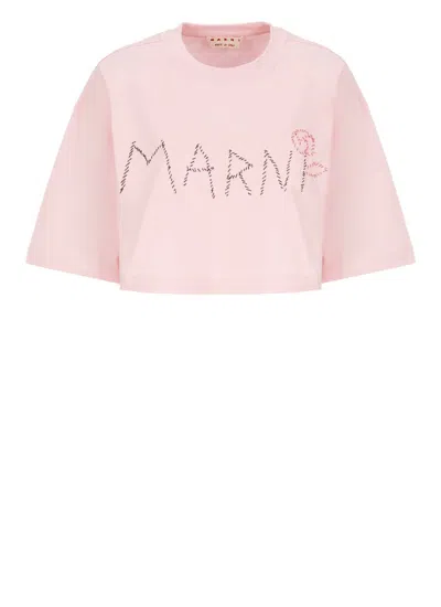 Shop Marni T-shirts And Polos Pink