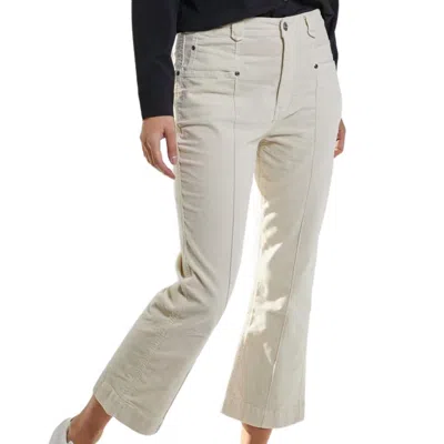 Shop Marrakech Brielle Velveteen Pant In Bone In Beige