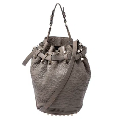 Shop Alexander Wang Taupe Textured Leather Diego Bucket Bag In Grey