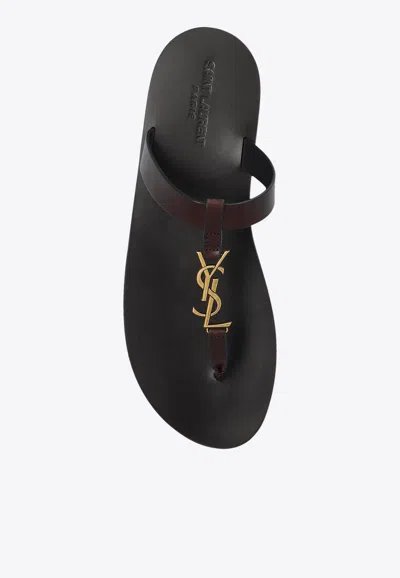 Shop Saint Laurent Cassandra Thong Sandals In Calf Leather In Dark Brown