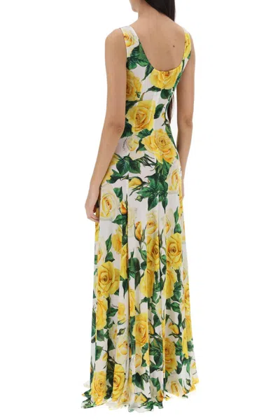 Shop Dolce & Gabbana Maxi Dress With Rose Print In 白色的