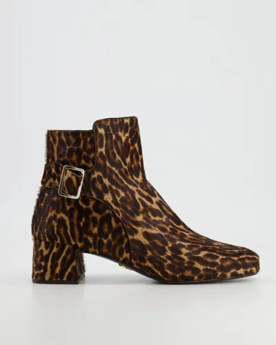 Shop Prada Leopard Pony Hair Boots With Silver Buckle In Brown