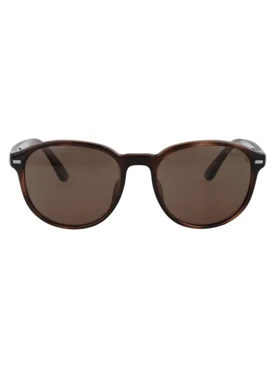 Shop Polo Ralph Lauren Sunglasses In 597473 Shiny Havana