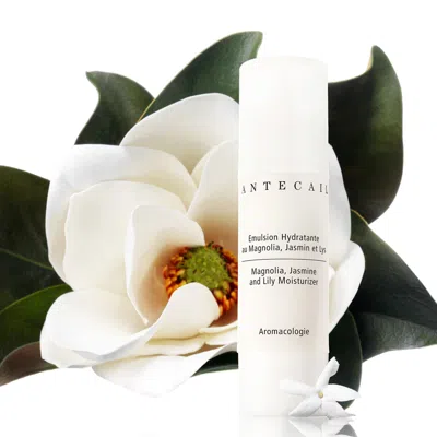 Chantecaille Magnolia, Jasmine And Lily Moisturizer In Default Title