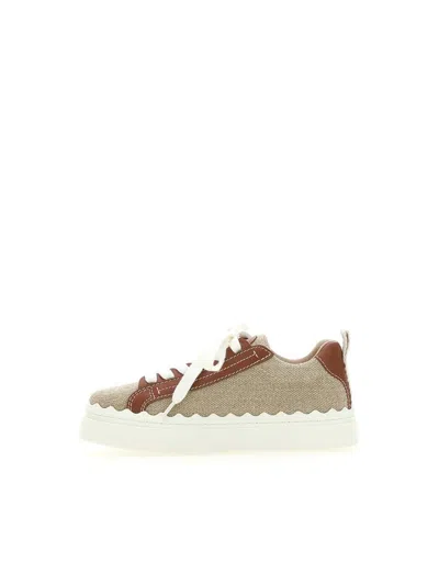 Shop Chloé Sneakers In White - Brown 1