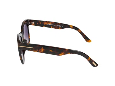 Shop Tom Ford Sunglasses In Dark Havana/bordeaux Grad