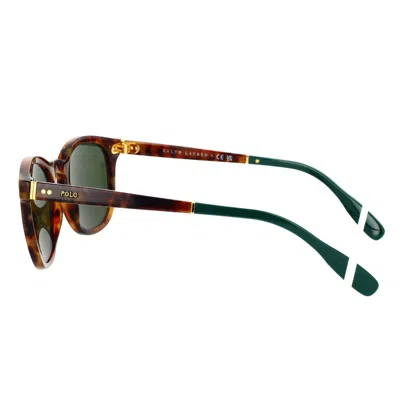 Shop Ralph Lauren Sunglasses In Tartarugato