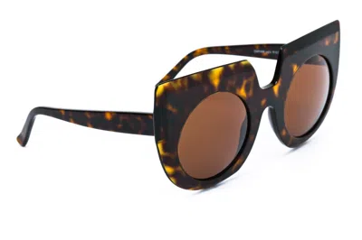 Andy Wolf Sunglasses In Havana