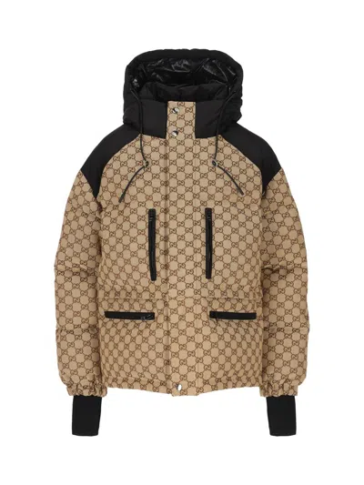 Shop Gucci Jackets In Camel/ebony