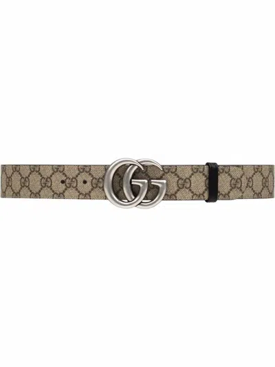 Shop Gucci Belts In B.ebony/nero