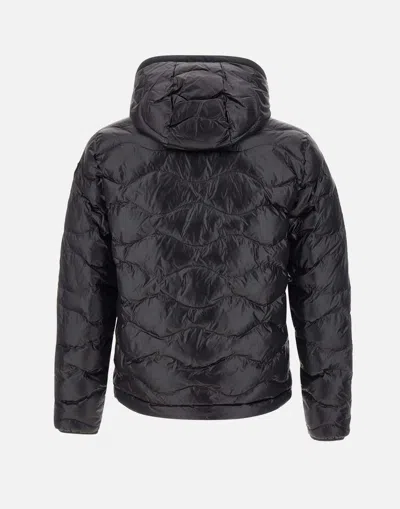 Shop Blauer Usa Coats In Black
