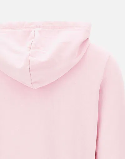 Shop Sun68 Sweaters In Pink