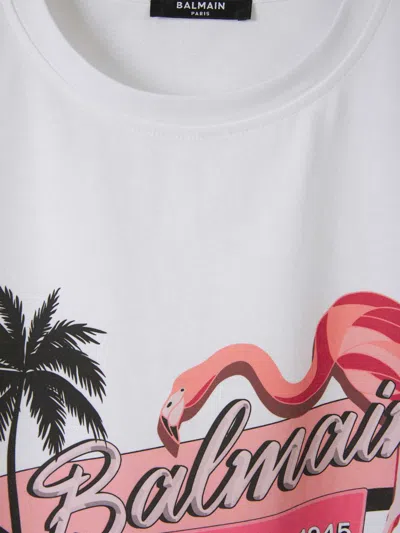 Shop Balmain Flamenco Print T-shirt In Pink Flamingo Print Motif