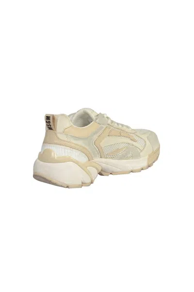 Shop Msgm Sneakers White