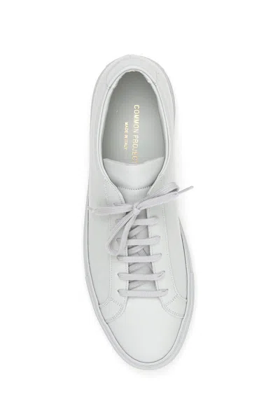 Shop Common Projects Sneakers In Gray