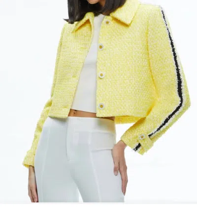 Shop Alice And Olivia Tammy 50s Style Jacket In Happy Yellow In Multi