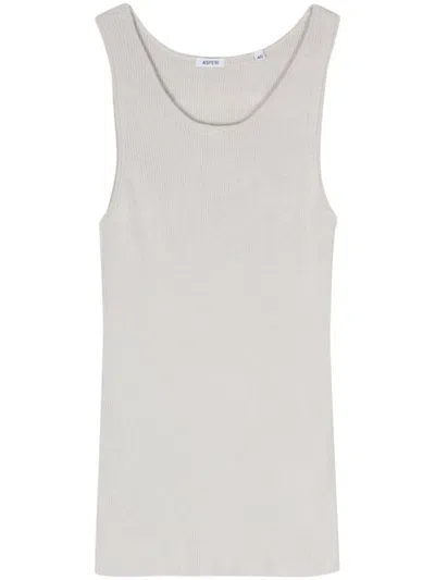 Shop Aspesi Round-neck Ribbed-knit Tank Top In Gray