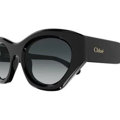 Shop Chloé Chloe Sunglasses In 001 Black Black Grey