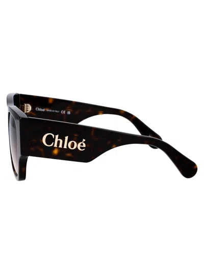 Shop Chloé Sunglasses In 002 Havana Havana Brown
