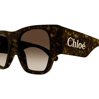 Shop Chloé Chloe Sunglasses In 002 Havana Havana Brown