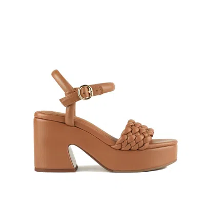 Ash Braided Strap Chunky Heel Platform Sandals In Brown