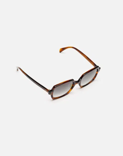 Shop Marketplace 60s American Optical Haunting Sunglasses In Brown