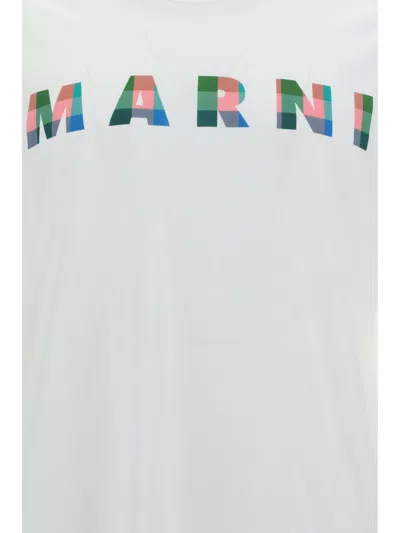 Shop Marni T-shirts In Lily White
