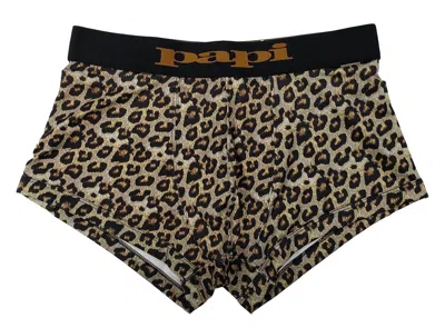 Papi Men's Animal Instinct Brazilian Trunk In Gold In Brown