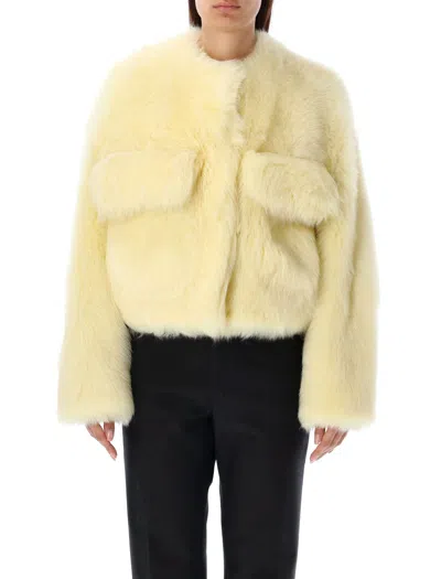 Shop Bottega Veneta Pale Yellow Shearling Cropped Jacket For Women In Pale_yellow