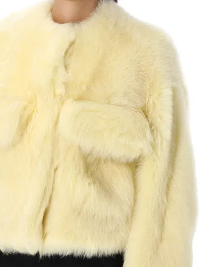 Shop Bottega Veneta Toscana Shearling Cropped Jacket In Pale_yellow
