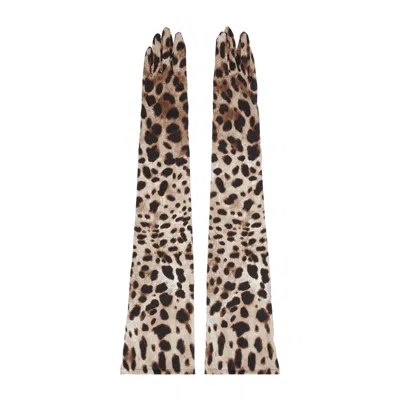 Shop Dolce & Gabbana Multicolored Leopard Print Long Gloves For Women In Tan