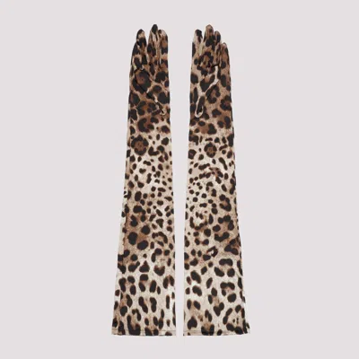 Shop Dolce & Gabbana Multicolored Leopard Print Long Gloves For Women In Tan