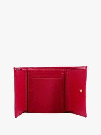 Shop Dolce & Gabbana Woman Wallet Woman Pink Wallets