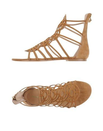 Shop Dsquared2 Sandals In Camel