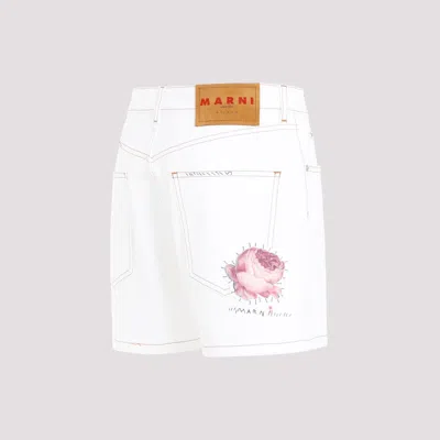 Shop Marni Cotton Shorts For Women In White